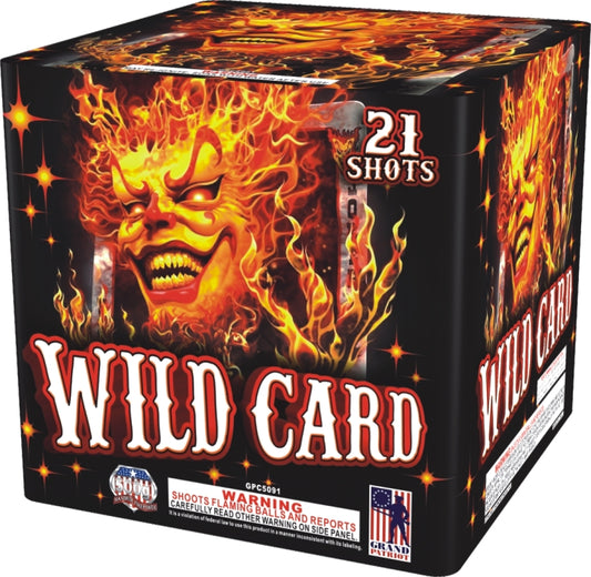Wild Card - 21 shot