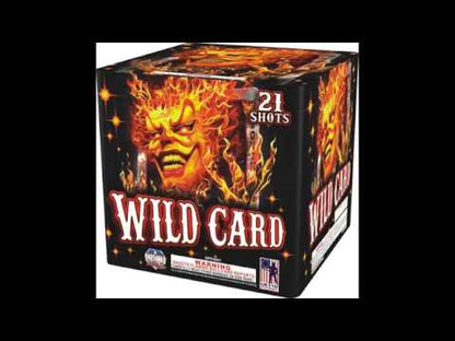 Wild Card - 21 shot