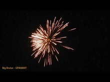 Load and play video in Gallery viewer, Big Brutus
